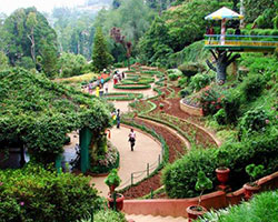 Saramsa Garden/ Ipecac Garden
