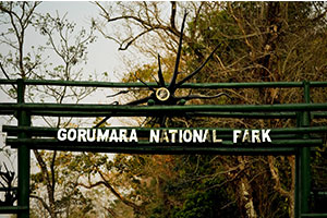 Gorumara National Park